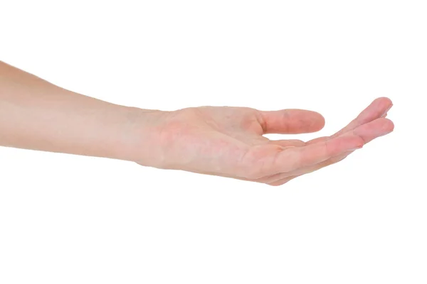 Woman presenting with her hand — Stock Photo, Image