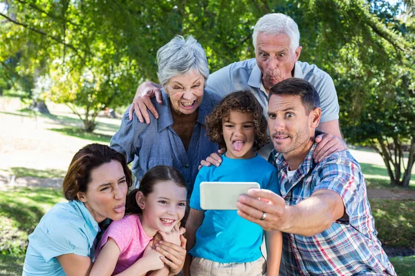 Extended family taking a selfie in the park — Zdjęcie stockowe