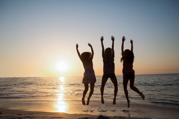 Groep vrienden plezier — Stockfoto