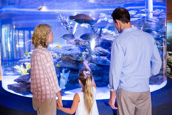 Familly looking at fish tank — 스톡 사진