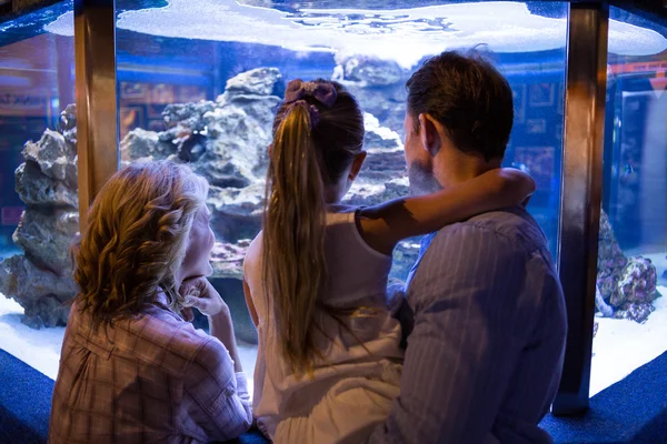 Couple looking at fish in the tank — Zdjęcie stockowe