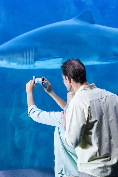 Couple taking picture of shark at aquarium — Stockfoto