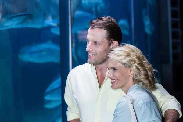 Couple looking at fish tank at aquariumk — Stok fotoğraf