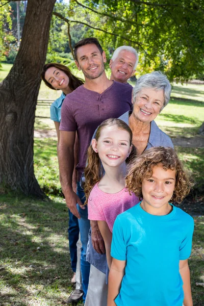 Família estendida sorrindo no parque — Fotografia de Stock