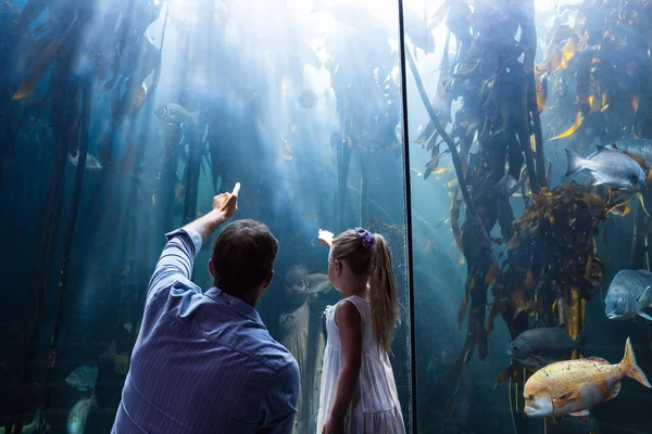 Father and daughter pointing fish in tank — Stockfoto