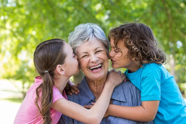 Extended family smiling and kissing in a park — Stok fotoğraf