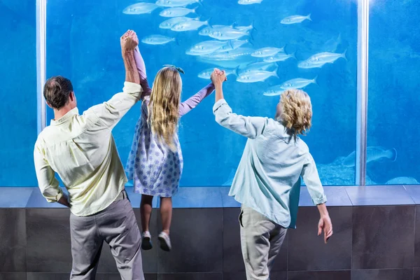 Family looking at the fish tank — Stockfoto