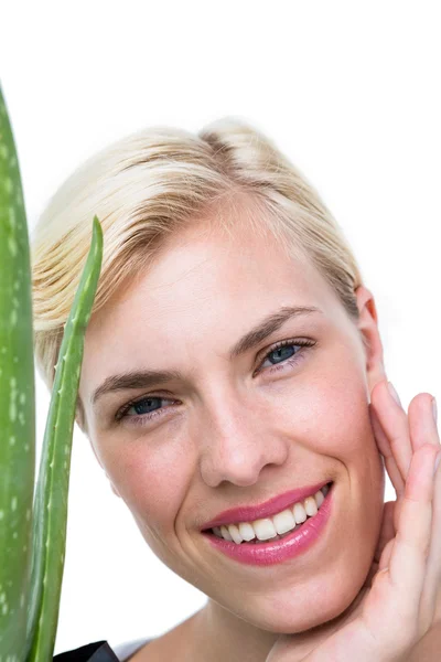 Woman holding aloe vera plant Royalty Free Stock Images