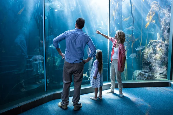 Familly looking at fish tank — Stock Photo, Image