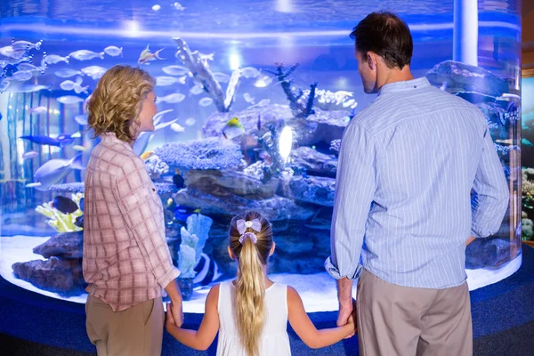 Familly looking at fish tank — Stockfoto