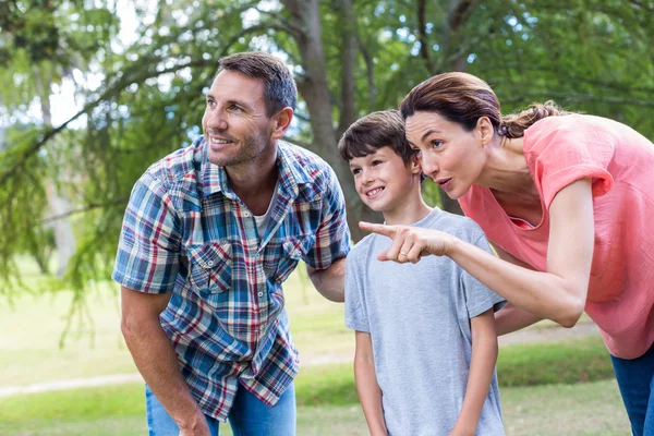 Famiglia nel parco insieme — Foto Stock