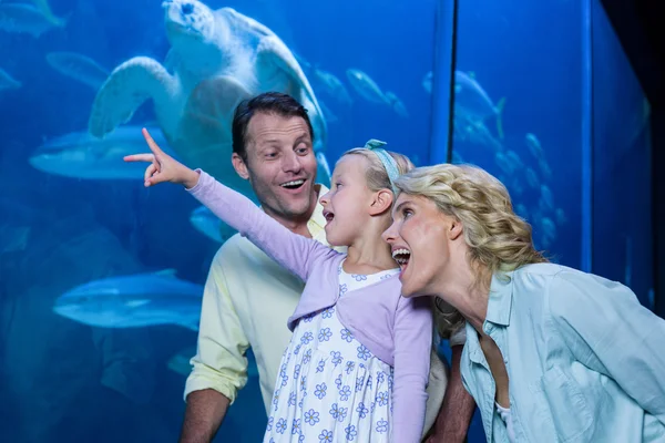 Family looking at the fish tank — Stockfoto