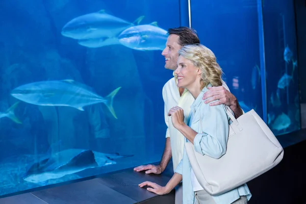 Couple looking at fish tank — Stockfoto