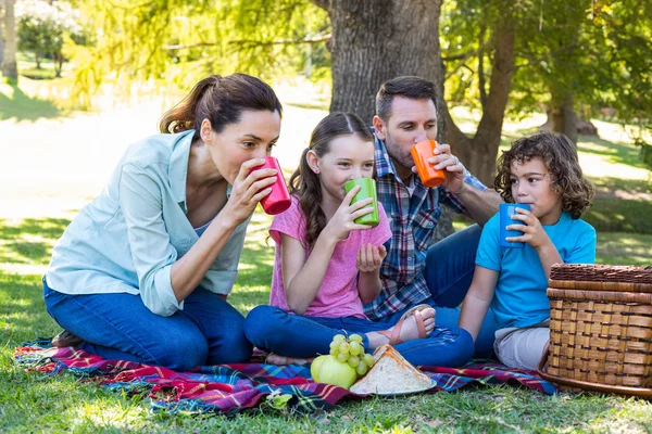 Parkta piknik üzerinde mutlu aile — Stok fotoğraf