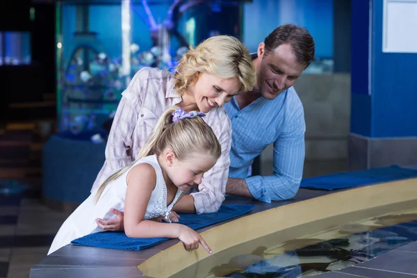 Family looking at manta ray — Stockfoto