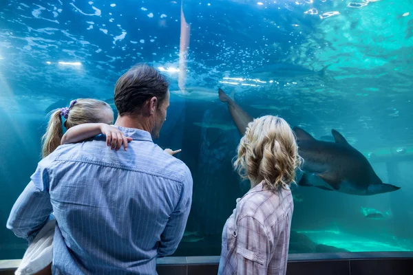 Familly looking at fish tank — Stockfoto