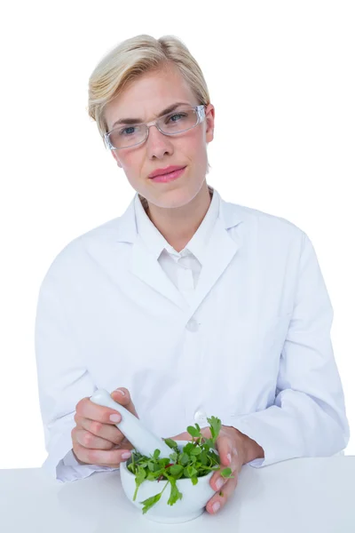 Doctor mixing herbs — Stock Photo, Image