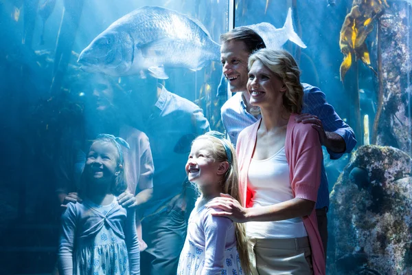Семья смотрит на рыбу в аквариуме — стоковое фото