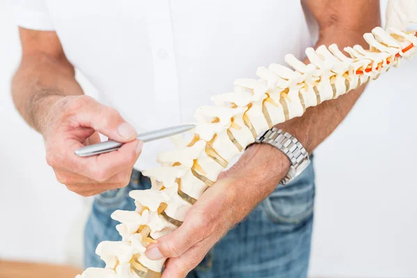 Médico mostrando coluna anatômica — Fotografia de Stock