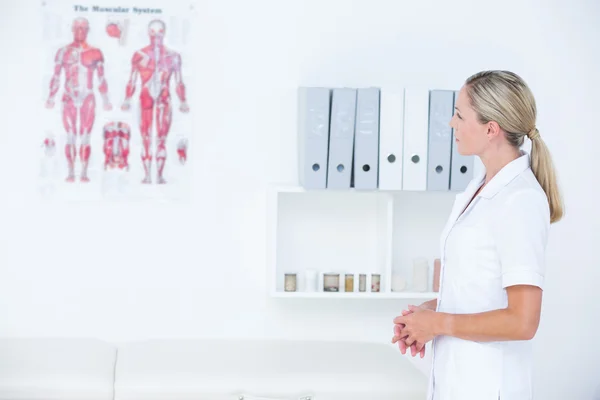 Doctor looking at musculator system poster — Stock Photo, Image