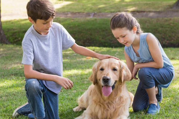 Fratrie avec leur chien dans le parc — Photo