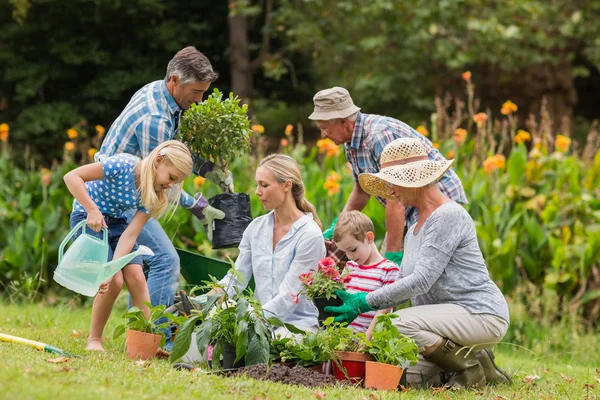 Jardinería familiar feliz — Foto de Stock