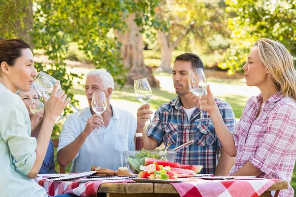 Familie picknickt im Park — Stockfoto