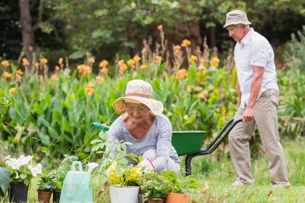 Gelukkig oma en opa tuinieren — Stockfoto