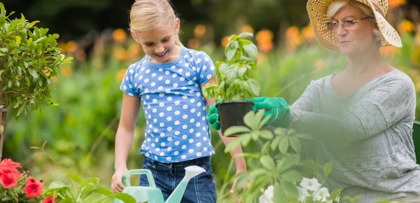 Feliz abuela con su nieta jardinería — Foto de Stock