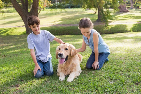 Geschwister mit Hund im Park — Stockfoto