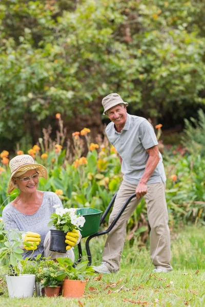 Glückliche Oma und Opa bei der Gartenarbeit — Stockfoto