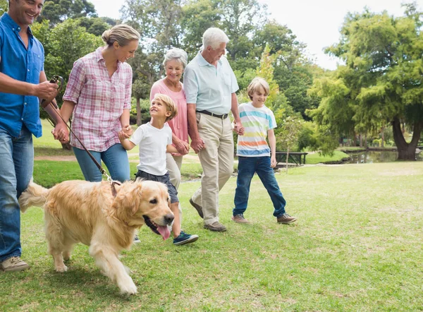 A parkban a kutya a boldog család — Stock Fotó