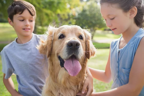 Sibling with their dog in the park — Stock Photo, Image