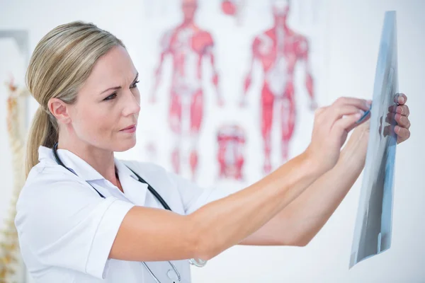 Koncentrera sig läkare titta på röntgenbilder — Stockfoto