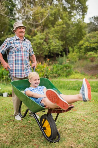 Glücklicher Großvater und seine Enkelin mit einer Schubkarre — Stockfoto