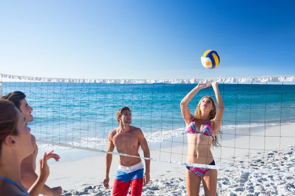 Grupo de amigos jugando voleibol — Foto de Stock