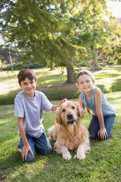 Geschwister mit Hund im Park — Stockfoto