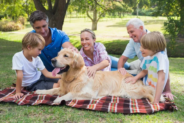 Happy family in the park with their dog — Stock Photo, Image