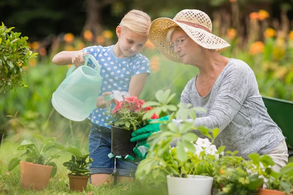 Feliz abuela con su nieta jardinería — Foto de Stock