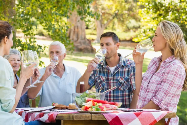 Familia haciendo picnic en el parque —  Fotos de Stock