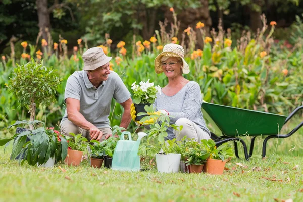 Heureux grand-mère et grand-père jardinage — Photo