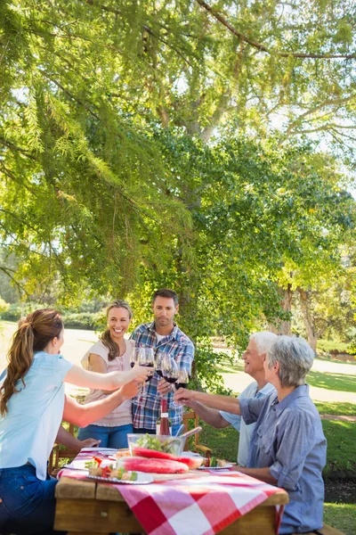 Coppia brindare con la loro famiglia — Foto Stock