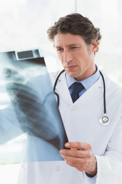 Serious doctor looking at X-ray — Stock Photo, Image