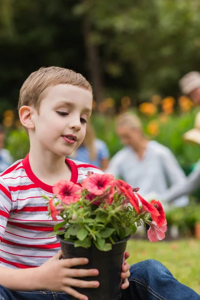 Young boy sitting with flower pot — Stock Photo, Image