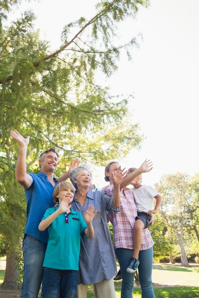 Familia feliz saludando con las manos en el parque — Foto de Stock