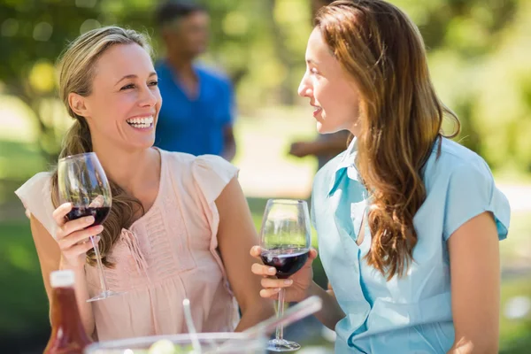 Glückliche Freunde beim Trinken im Park — Stockfoto