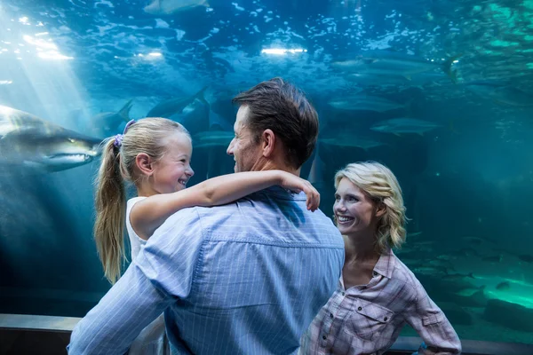 Familly enjoying behind a fish tank — Stockfoto