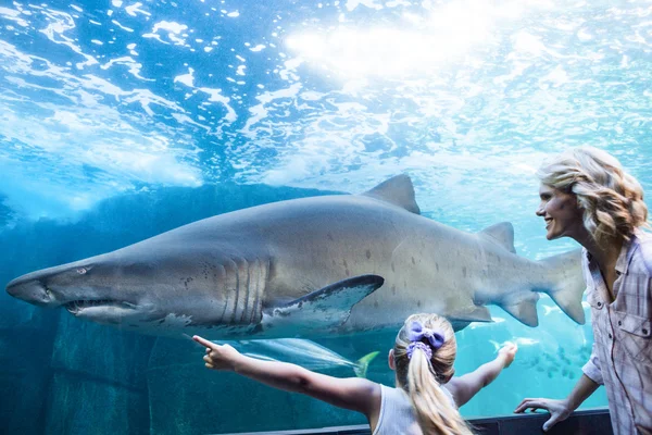 Daughter measure shark with her hands — Stockfoto