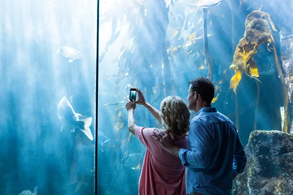 Paar fotografiert Fische im Becken — Stockfoto