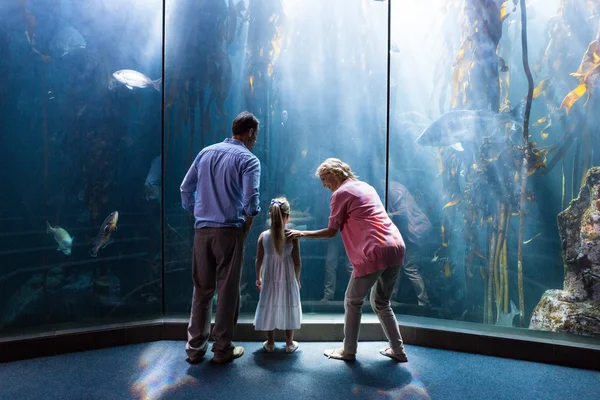 Family looking at fish tank — Stock Photo, Image